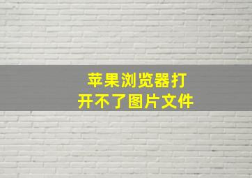 苹果浏览器打开不了图片文件