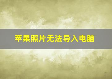 苹果照片无法导入电脑