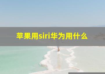 苹果用siri华为用什么