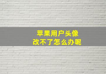 苹果用户头像改不了怎么办呢