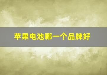 苹果电池哪一个品牌好