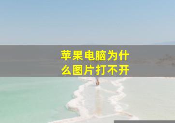 苹果电脑为什么图片打不开