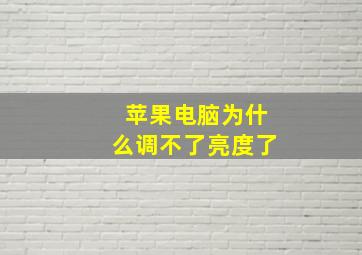 苹果电脑为什么调不了亮度了