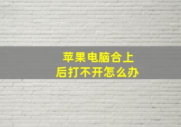 苹果电脑合上后打不开怎么办