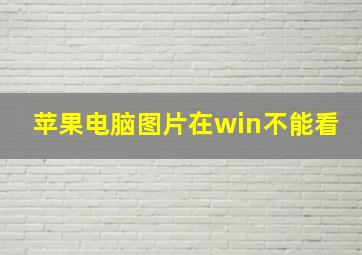 苹果电脑图片在win不能看