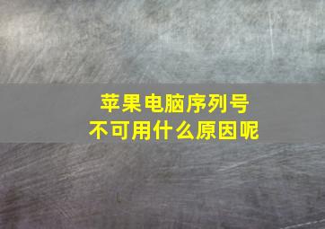 苹果电脑序列号不可用什么原因呢