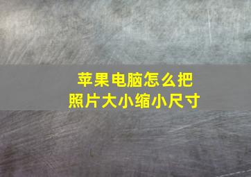 苹果电脑怎么把照片大小缩小尺寸