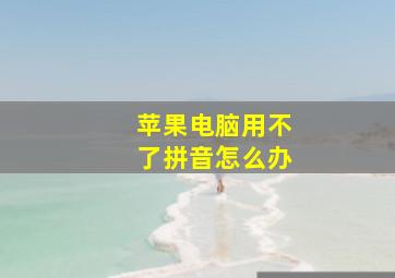 苹果电脑用不了拼音怎么办