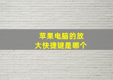 苹果电脑的放大快捷键是哪个