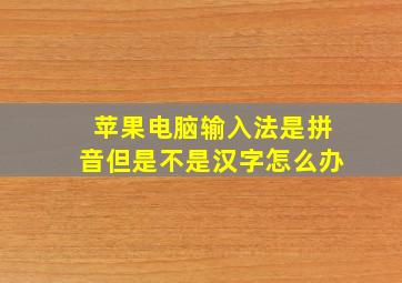 苹果电脑输入法是拼音但是不是汉字怎么办