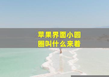 苹果界面小圆圈叫什么来着