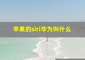 苹果的siri华为叫什么