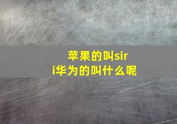 苹果的叫siri华为的叫什么呢