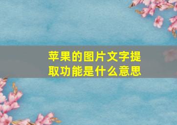 苹果的图片文字提取功能是什么意思