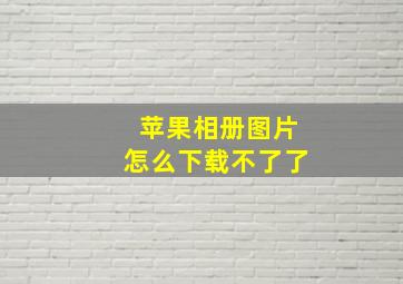 苹果相册图片怎么下载不了了