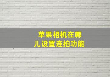 苹果相机在哪儿设置连拍功能