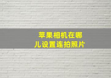 苹果相机在哪儿设置连拍照片