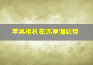 苹果相机在哪里调滤镜