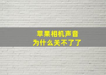 苹果相机声音为什么关不了了