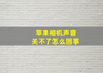 苹果相机声音关不了怎么回事