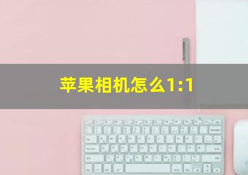 苹果相机怎么1:1