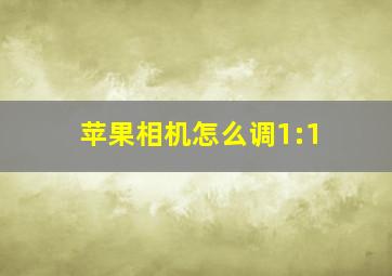 苹果相机怎么调1:1