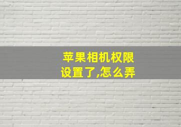 苹果相机权限设置了,怎么弄