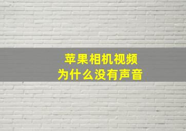 苹果相机视频为什么没有声音