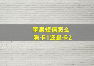 苹果短信怎么看卡1还是卡2