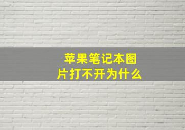 苹果笔记本图片打不开为什么