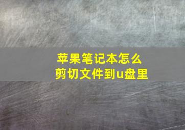 苹果笔记本怎么剪切文件到u盘里