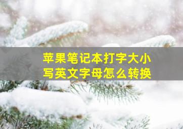 苹果笔记本打字大小写英文字母怎么转换