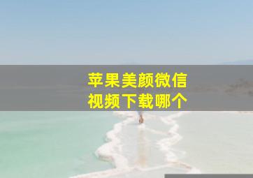 苹果美颜微信视频下载哪个