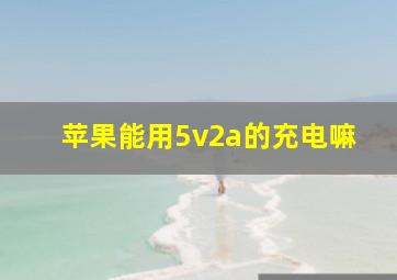 苹果能用5v2a的充电嘛