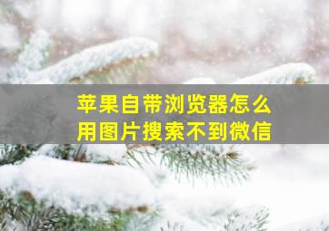 苹果自带浏览器怎么用图片搜索不到微信