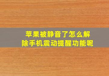 苹果被静音了怎么解除手机震动提醒功能呢