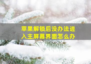 苹果解锁后没办法进入主屏幕界面怎么办