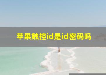 苹果触控id是id密码吗