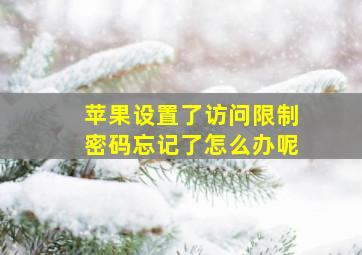 苹果设置了访问限制密码忘记了怎么办呢