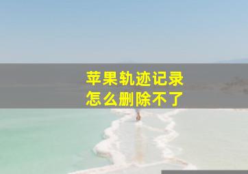 苹果轨迹记录怎么删除不了