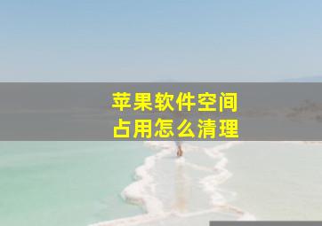 苹果软件空间占用怎么清理