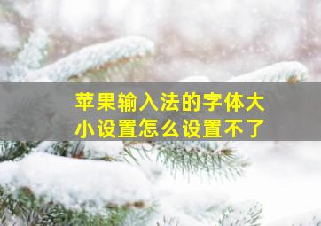 苹果输入法的字体大小设置怎么设置不了