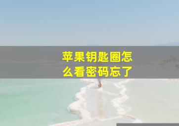 苹果钥匙圈怎么看密码忘了