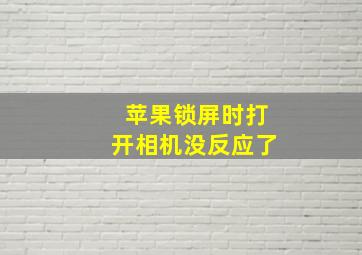 苹果锁屏时打开相机没反应了