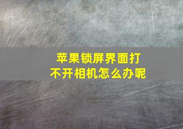 苹果锁屏界面打不开相机怎么办呢