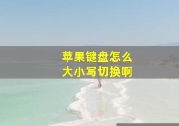 苹果键盘怎么大小写切换啊