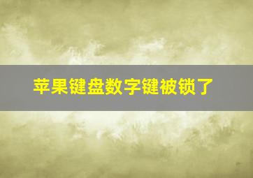 苹果键盘数字键被锁了