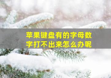 苹果键盘有的字母数字打不出来怎么办呢