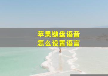 苹果键盘语音怎么设置语言