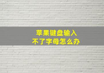 苹果键盘输入不了字母怎么办